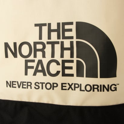 ザ ノース フェイス THE NORTH FACE THE NORTHFACE SEASONAL TOTE NF0A7QU6 トートバッグ （ベージュ）｜詳細画像