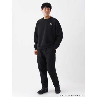 ザ・ノース・フェイス/メンズ/TECH AIR SWEAT CR (テックエアースウェットクルー) （ST）｜詳細画像