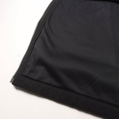 レディース アウトドアカジュアル フリース SPORTSWEAR Denali Jacket_デナリジャケット(レディース) NAW62650 （ブラック）｜詳細画像