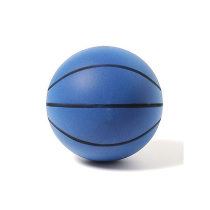 ティーエムスポーツ TMスホ?ーツ ティーエムスポーツ/キッズ/サイレントバスケットボールBL （ブルー）｜詳細画像