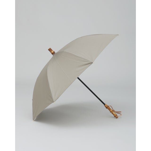 PARASOL BAMBOO （ライトセージ）