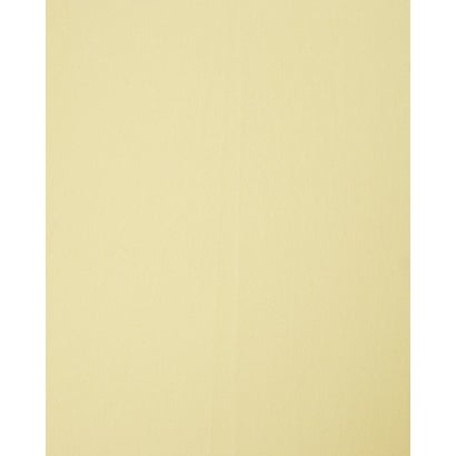 PARASOL BAMBOO （ホットコーラル）｜詳細画像