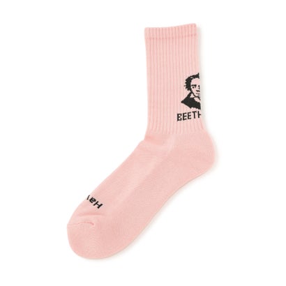 ROSTER SOX/ロスターソックス/BEETHVEN SOX （ブルー）｜詳細画像