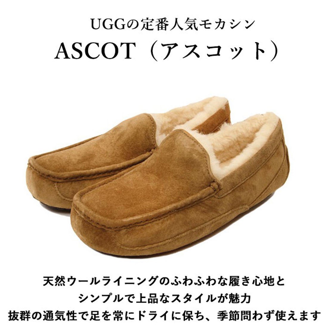 新品 UGG アグ メンズ スリッポン ASCOT チェスナット 28.0cm