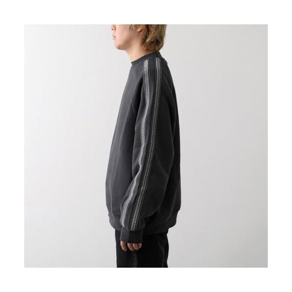アグ UGG UGG トレーナー M TASMAN CREWNECK タスマン 1172191 （CHE/CHESTNUT-キャメル）｜詳細画像