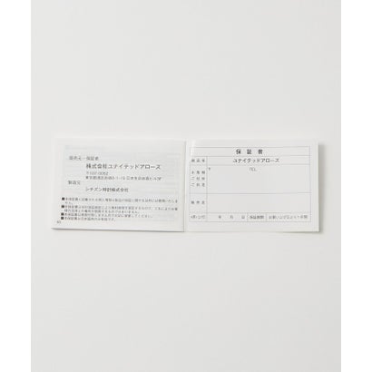 UA SQ METAL2 （SILVER）｜詳細画像