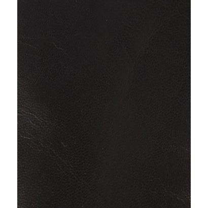 GALA NAP TOUCH/P GLV （BLACK）｜詳細画像