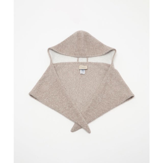 UA FOX/CA HOODED STL （その他2）