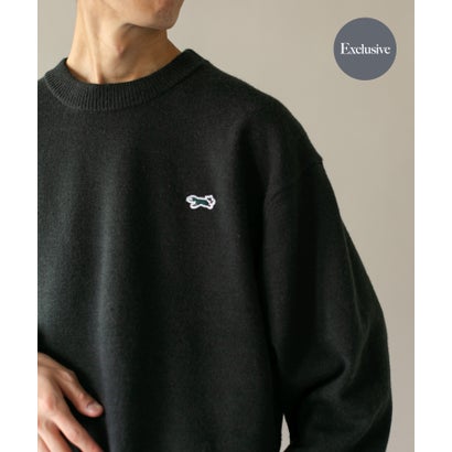 アーバンリサーチ ドアーズ URBAN RESEARCH DOORS 『別注』PENNEYS×DOORS THE FOX クルーネック スフレニット （グリーン）｜詳細画像