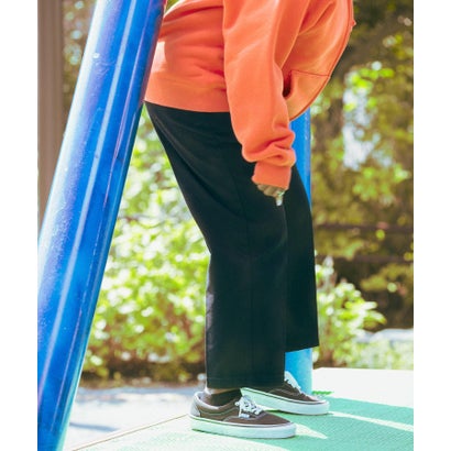 アーバンリサーチ URBAN RESEARCH Logic One × Dickies Dope pants （ブラウン）｜詳細画像