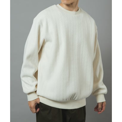 アイテムズ アーバンリサーチ ITEMS URBAN RESEARCH 発熱機能ケーブル柄カットモールトップス （ブラウン）｜詳細画像