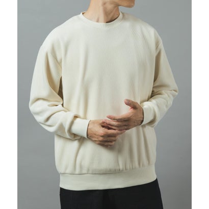 アイテムズ アーバンリサーチ ITEMS URBAN RESEARCH 発熱機能カットコール クルーネックTOPS （ホワイト）｜詳細画像