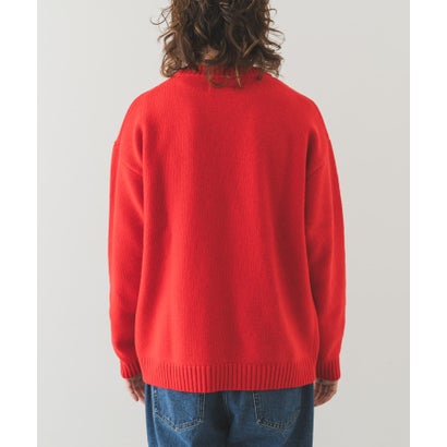 アーバンリサーチ サニーレーベル URBAN RESEARCH Sonny Label ウール混クルーネックニットプルオーバー （ブラウン）｜詳細画像